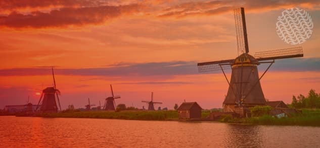 Simple and convenient Dutch lessons